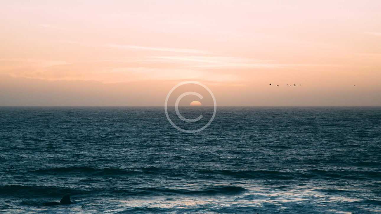 img 35 copyright