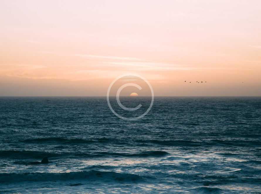 img 35 copyright