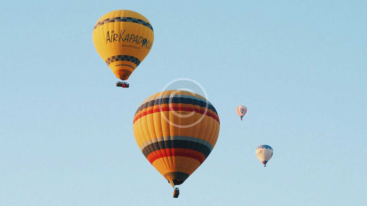img 39 copyright