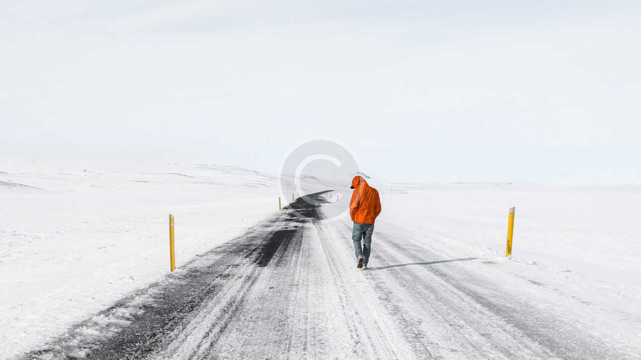 img 44 copyright