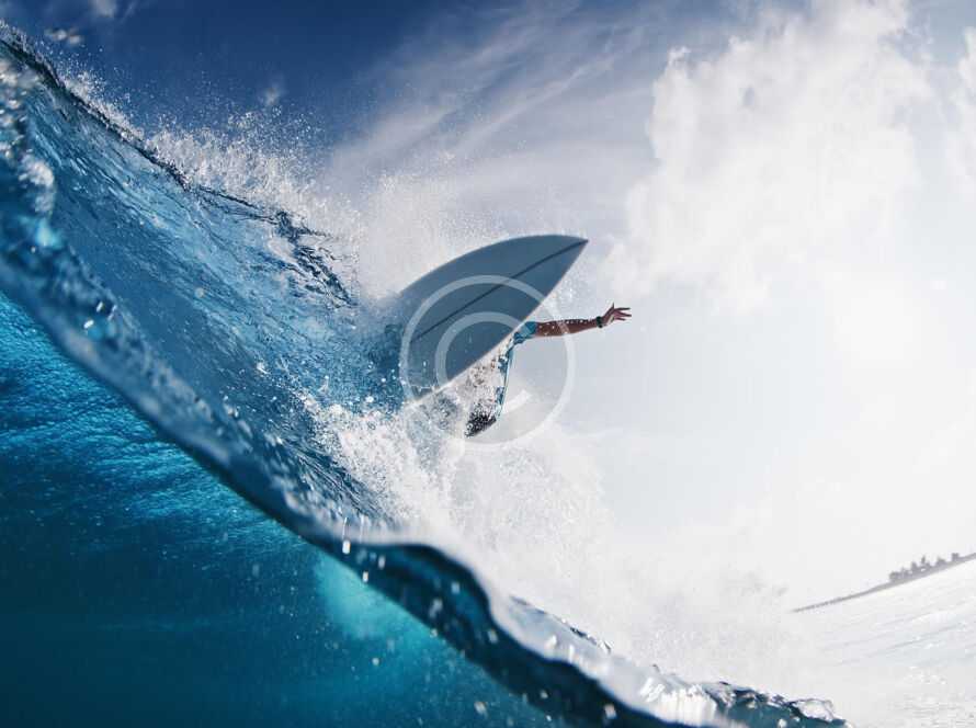 img 48 copyright